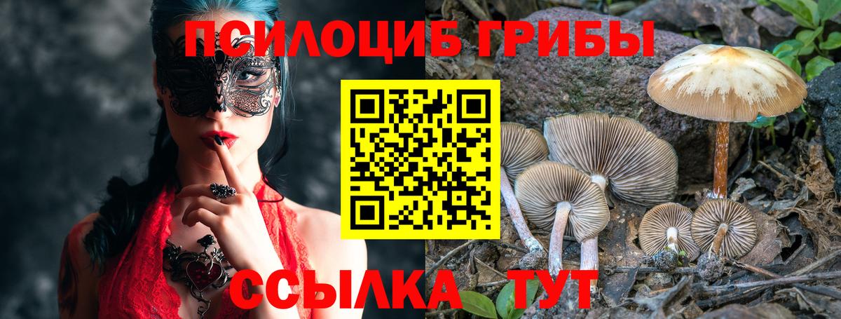 Видное  Галлюциногенные грибы ЛСД  Вход с VPN  Галлюциногенные грибы GOLDEN TEACHER 